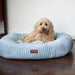 Kazoo Loop Bed [Sz:Medium Cl:Seafoam]