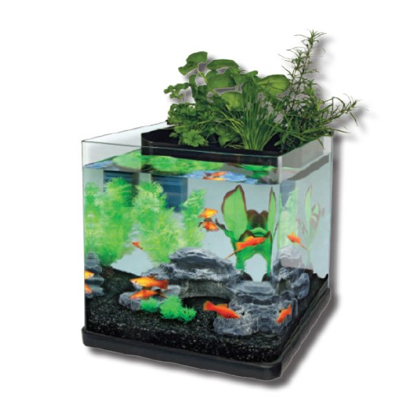 Aquaponic Aquarium Oasis 20 (DISC) [Sz:20L]
