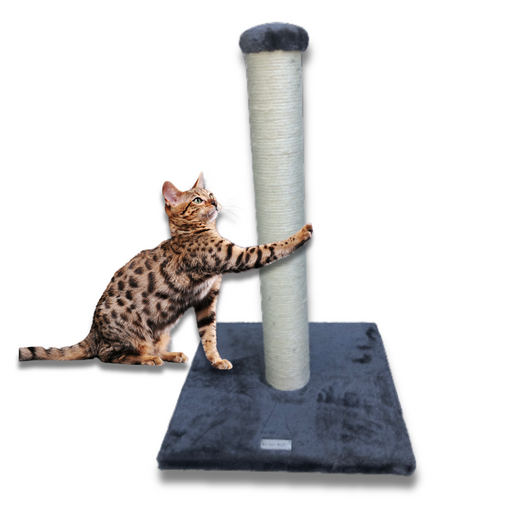 Bono Fido Sisal Cat Pole