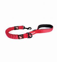 Ezydog Leash Zero Shock 25" [Cl:Red]