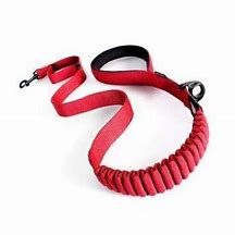 Ezydog Leash Zero Shock 48" [Cl:Red]