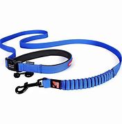 Ezydog Leash Road Runner [Cl:Blue]