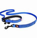 Ezydog Leash Road Runner [Cl:Blue]