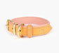 Ezydog Oxford Collar [Sz:Medium Cl:Pink]