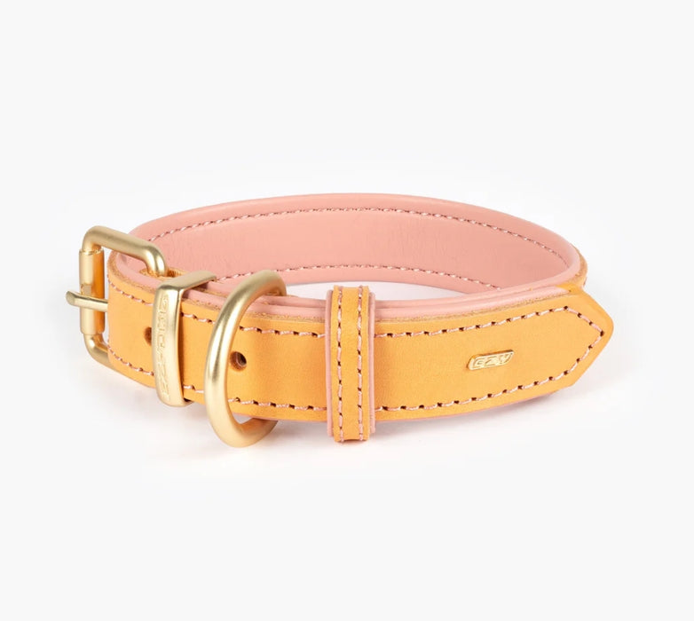 Ezydog Oxford Collar [Sz:Extra Small Cl:Blush]