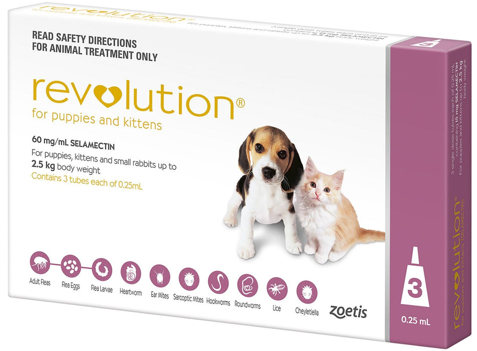 Revolution Puppy Kitten Pink