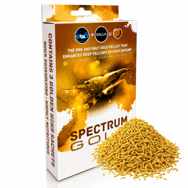 Daulua SAS Spectrum Gold [Sz:30g]