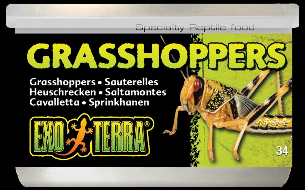 Exo Terra Canned Small Grasshoppers