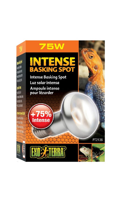 Exo Terra Intense Basking Spot Lamp