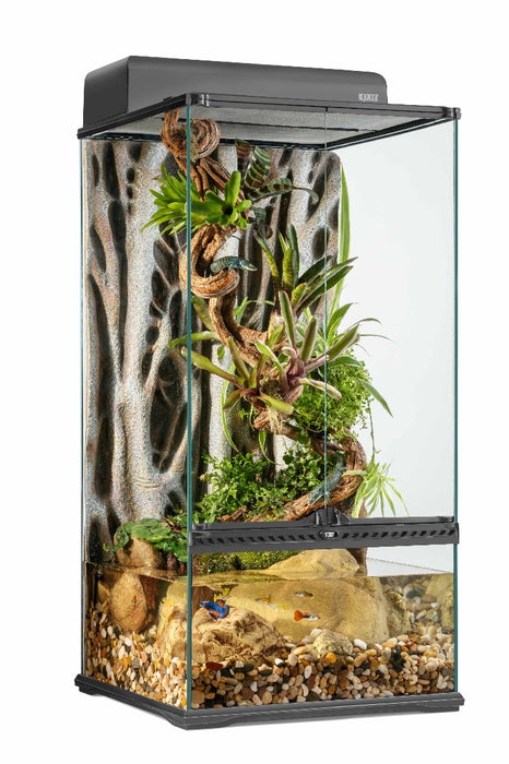 Exo Terra Paludarium Terrarium Extra Small/Tall 45 x 45 x 90cm