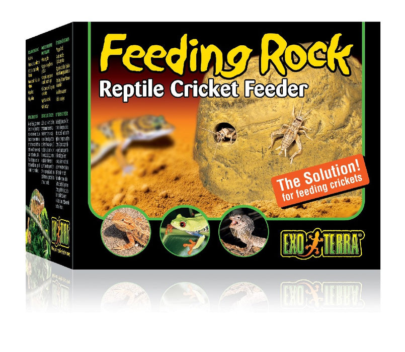 Exo Terra Feeding Rock Cricket Feeder