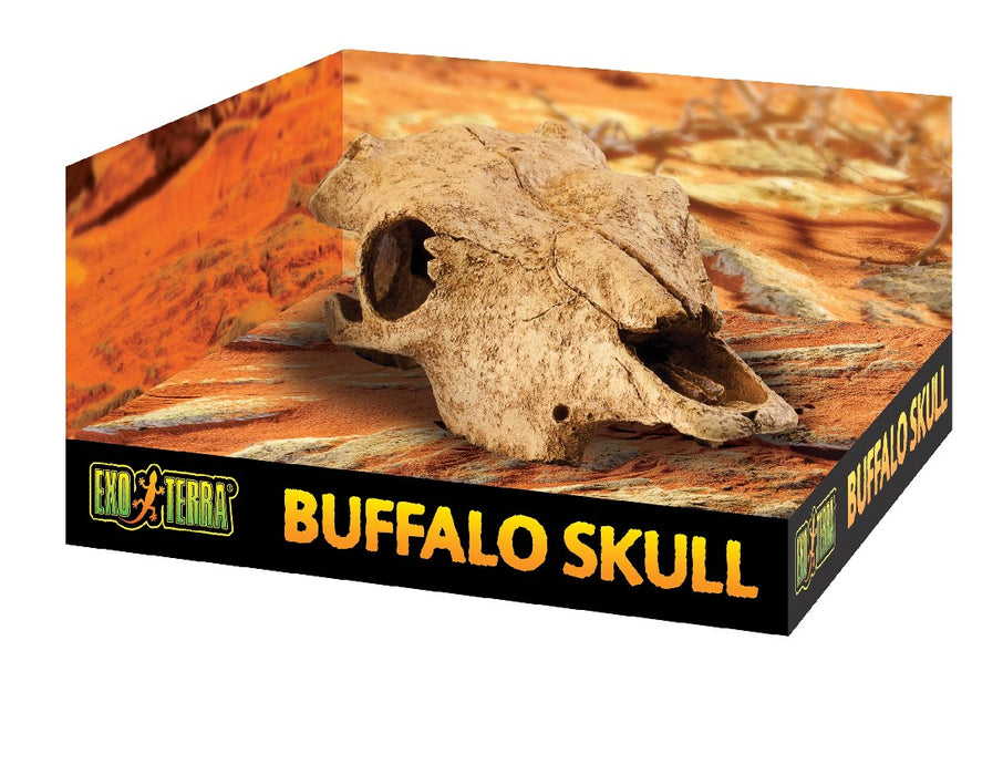 Exo Terra Ornament Buffalo Skull