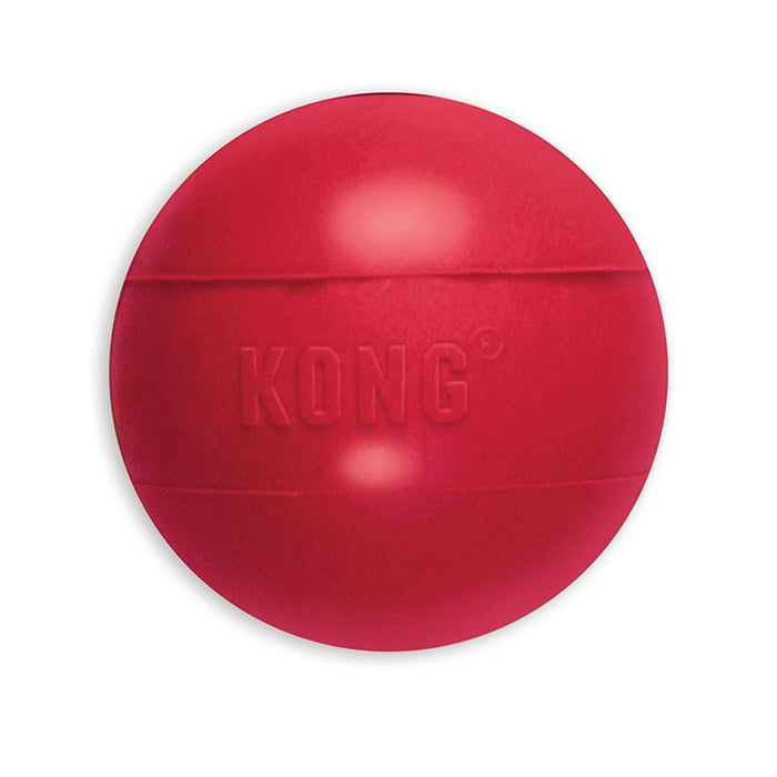 Kong Dog Ball (DISC)