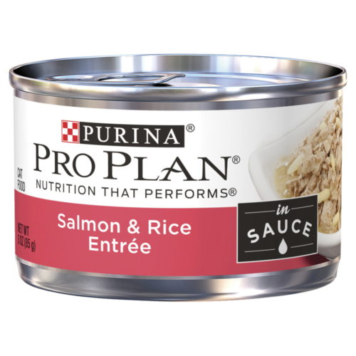 Pro Plan Can Cat Food Salmon & Rice Entree