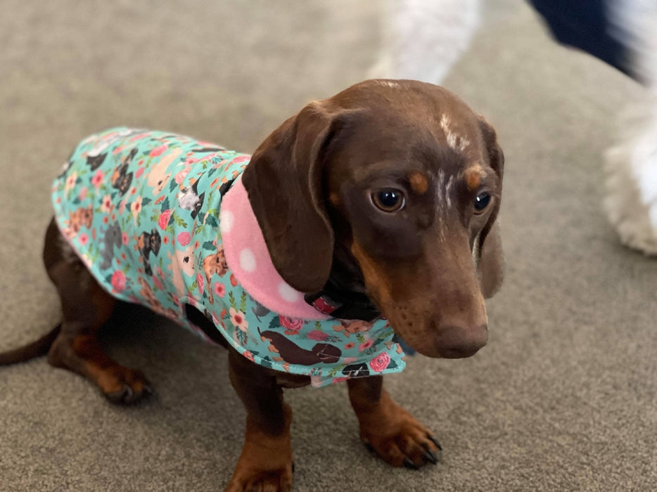 Penny & Frankie Dachshund Coat