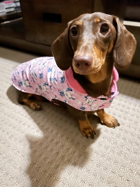 Penny & Frankie Dachshund Coat