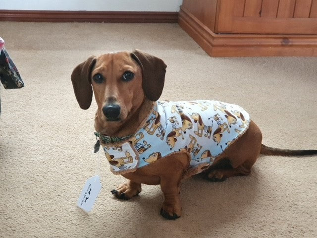 Penny & Frankie Dachshund Coat