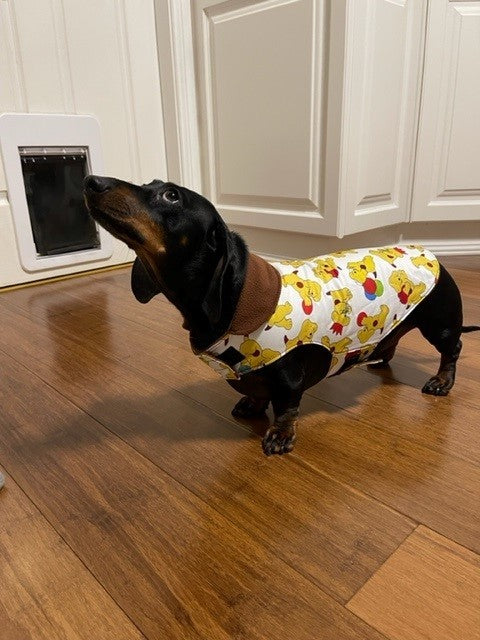 Penny & Frankie Dachshund Coat