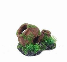 Aquatopia Clay Pot With Moss