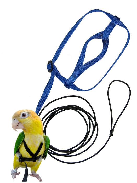 Aviator Harness and Leash Blue