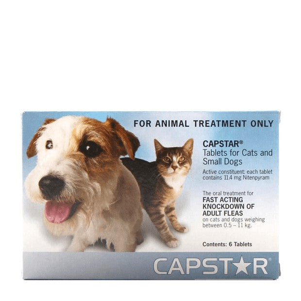Capstar Cat and Small Dog Blue 11mg — Macarthur Pets