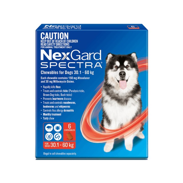 Nexgard Extra Large Dog Spectra