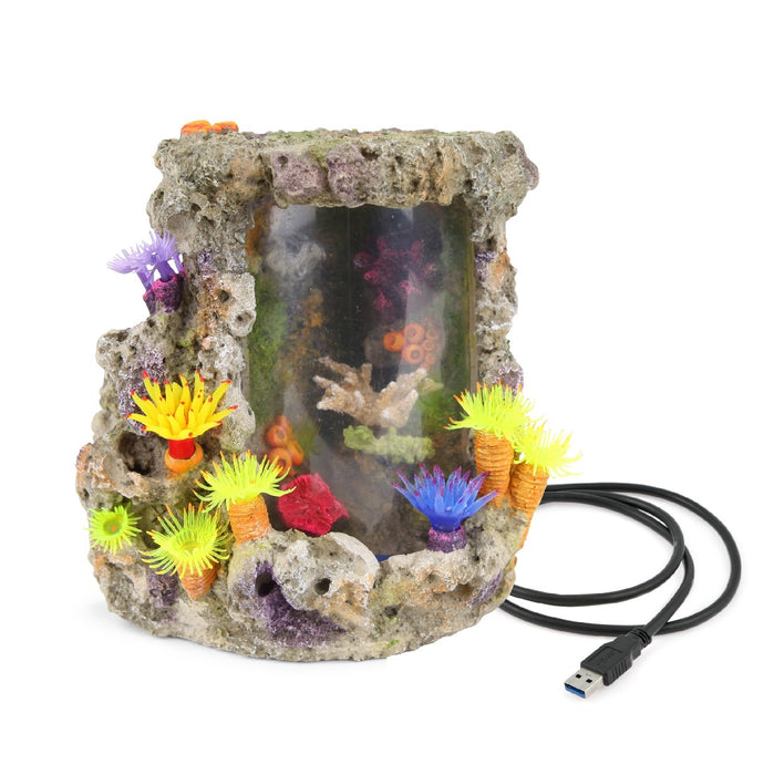 Kazoo Coral Centerpiece with Plants and Air