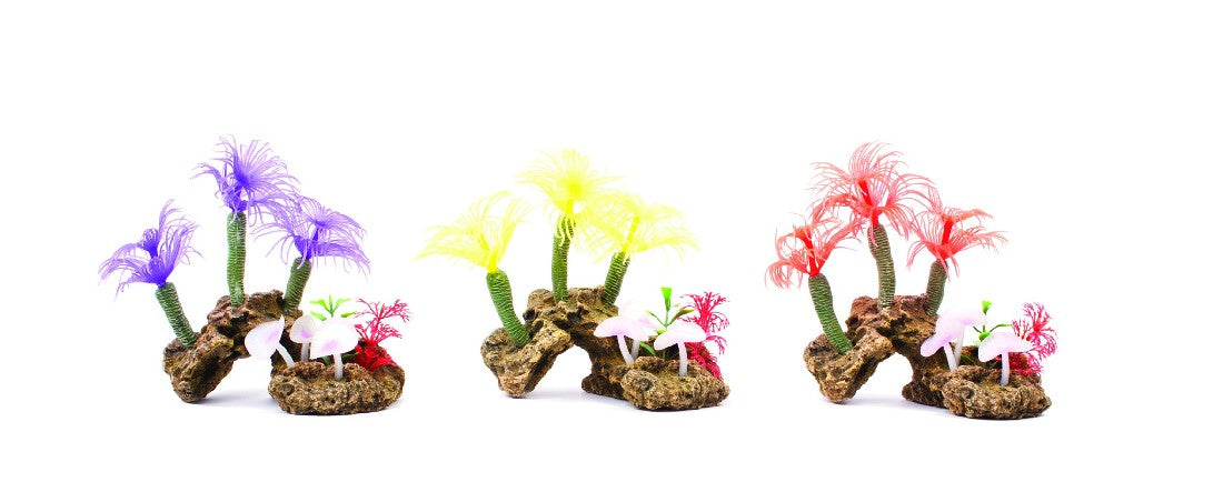 Kazoo Assorted Soft Tree Coral with Rock