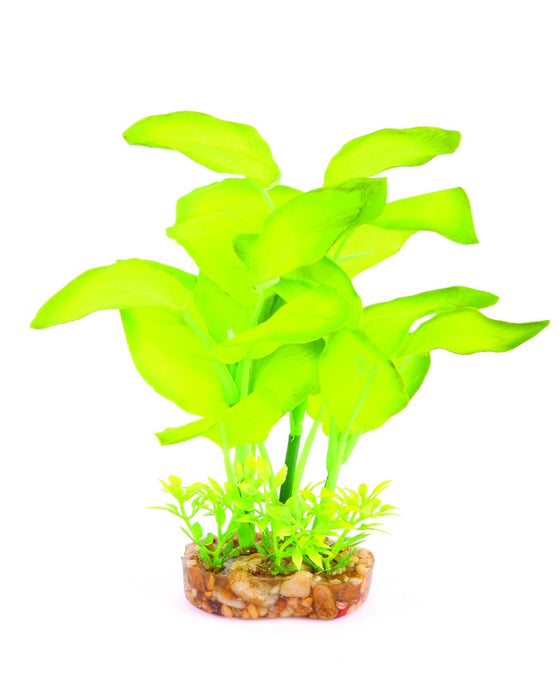 Kazoo Large Leaf Green Silk Plant