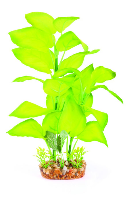 Kazoo Large Leaf Green Silk Plant