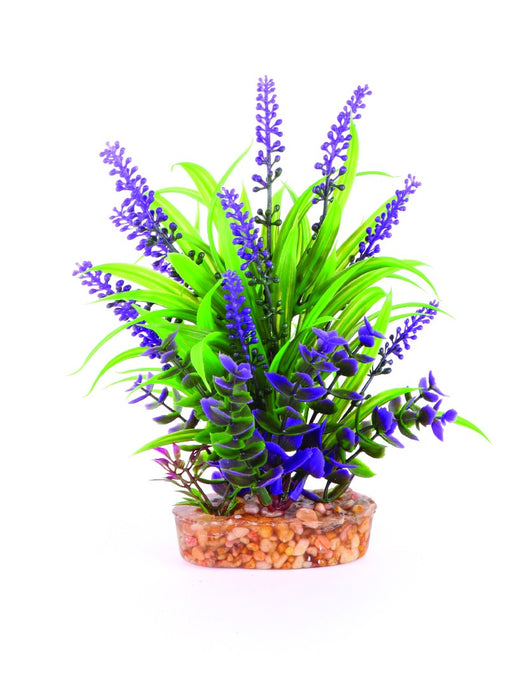 Kazoo Plant Combo Thin Leaf with Purple Flower