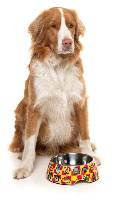 Fuzzyard Doggoforce Bowl