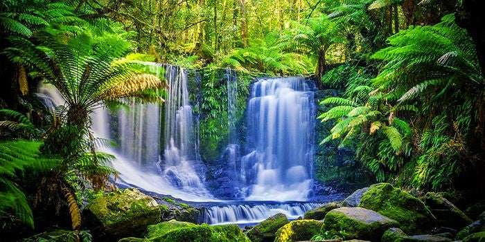 Aqua Natural Tasmania Background