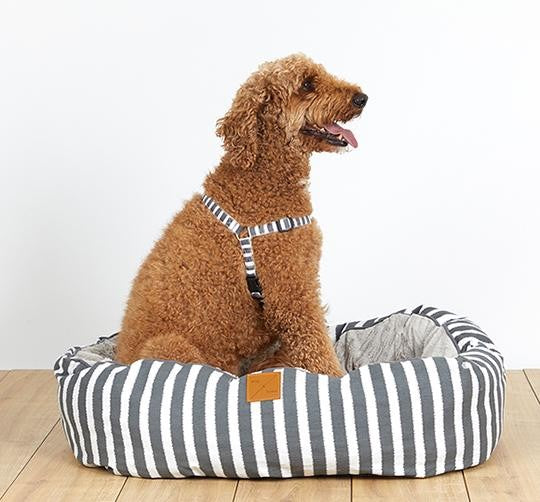 Mog & Bone 4 Seasons Reversable Dog Bed Char Hampton