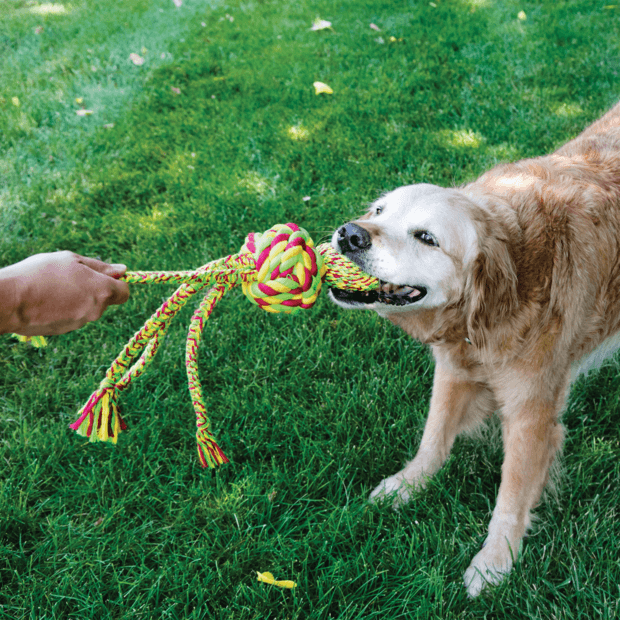 Kong Wubba Weaves with Rope (DISC)